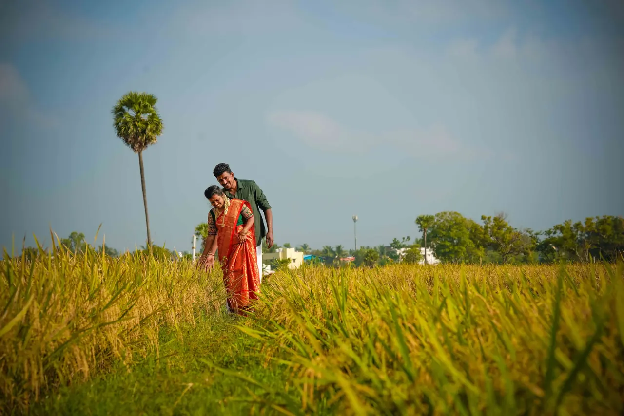 Couple walking through a green paddy field at golden hour during a pre-wedding shoot near Thanjavur